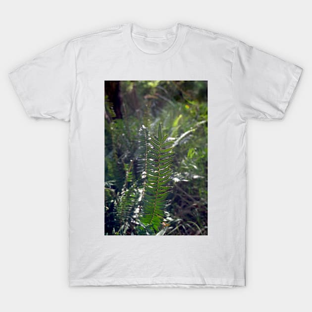 Fishbone Water Fern T-Shirt by GP1746